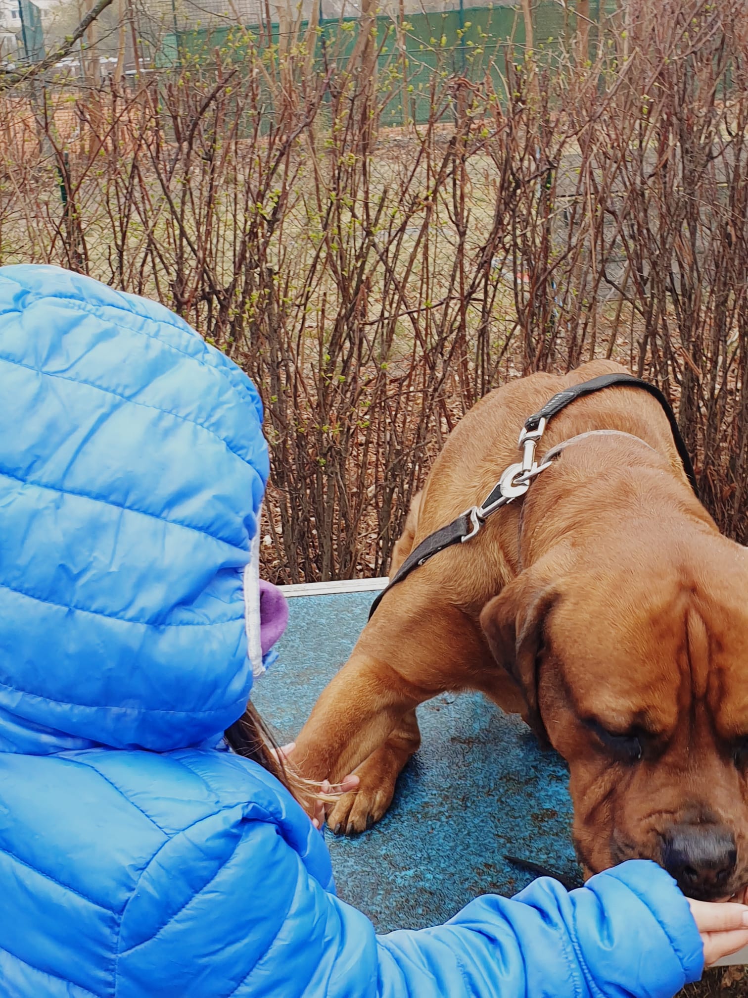 MV Rahnsdorf e.V. - Schulprojekt