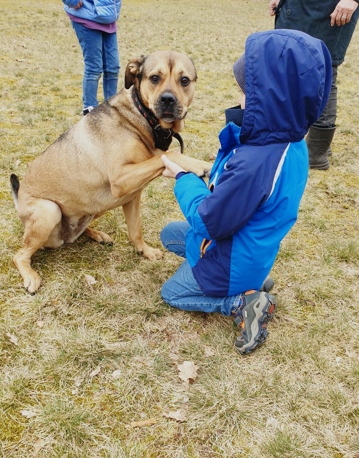 MV Rahnsdorf e.V. - Schulprojekt