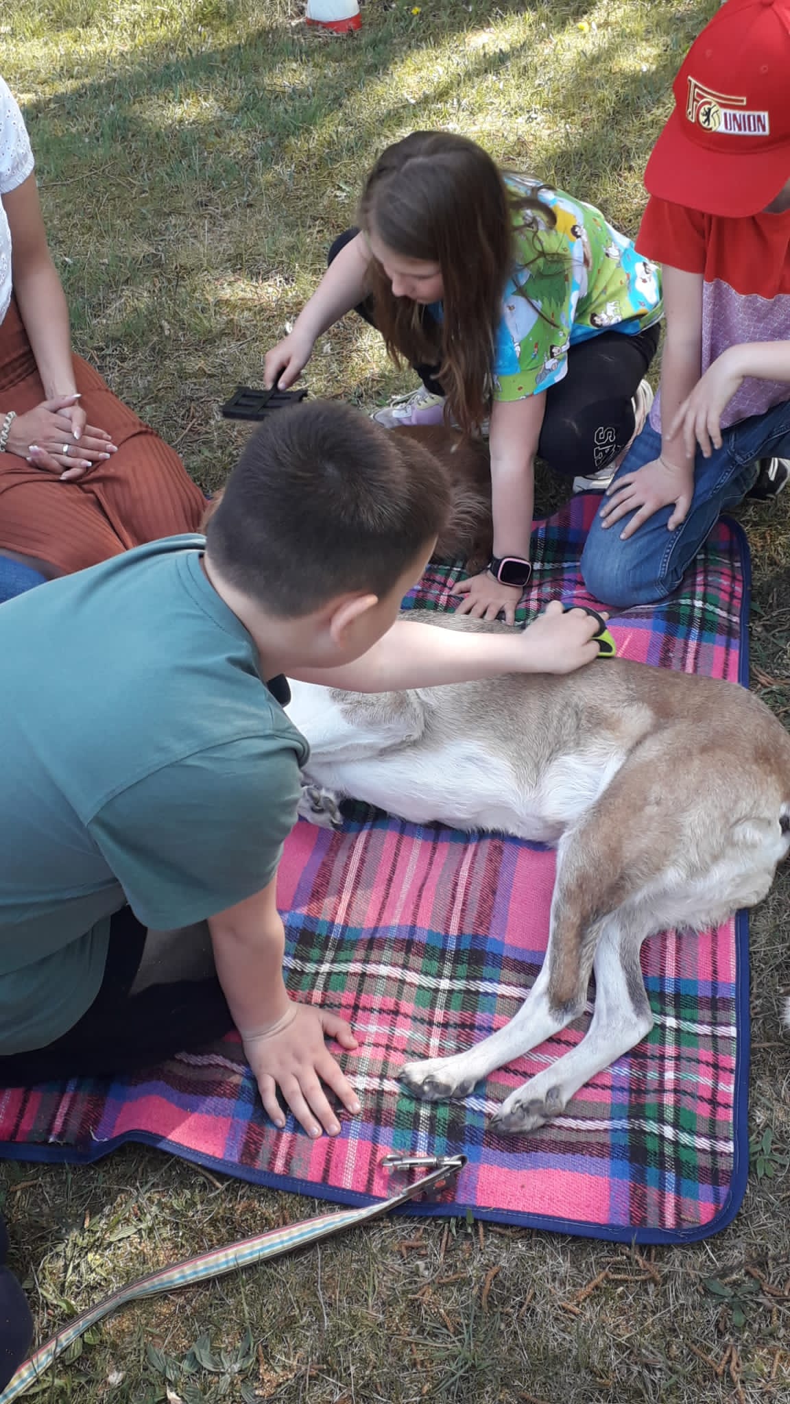 MV Rahnsdorf e.V. - Schulprojekt