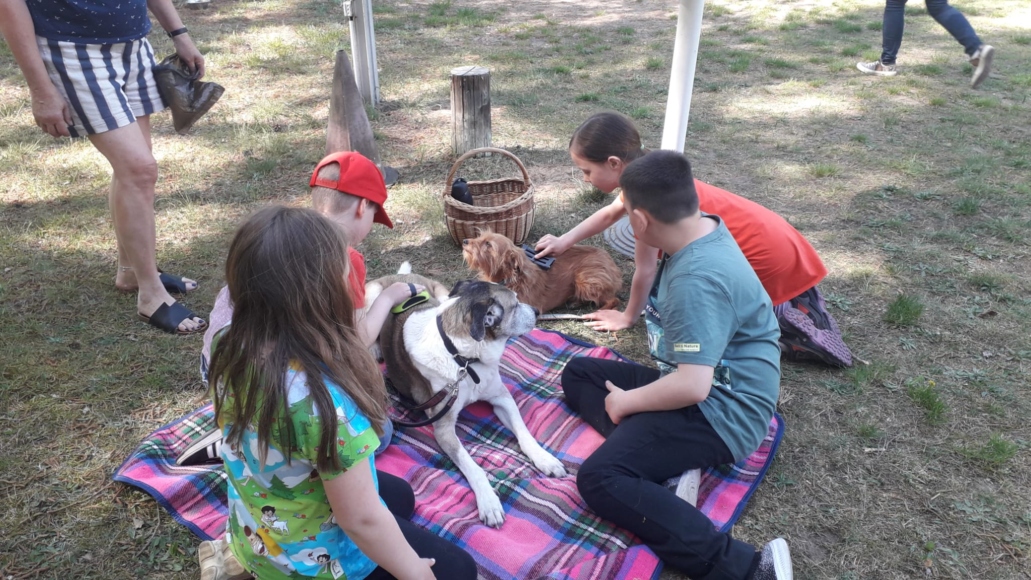 MV Rahnsdorf e.V. - Schulprojekt