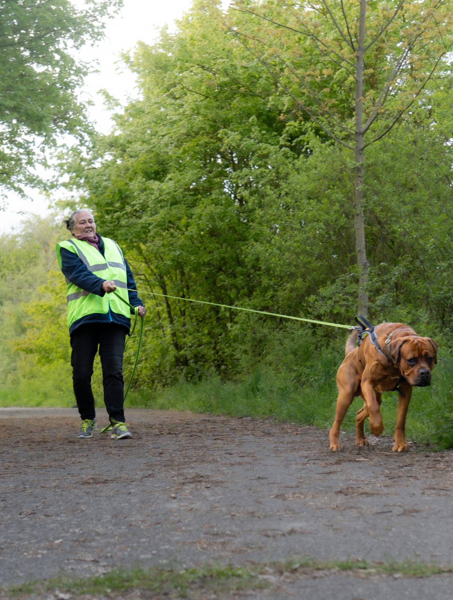 Mantrailing - Personensuchhunde