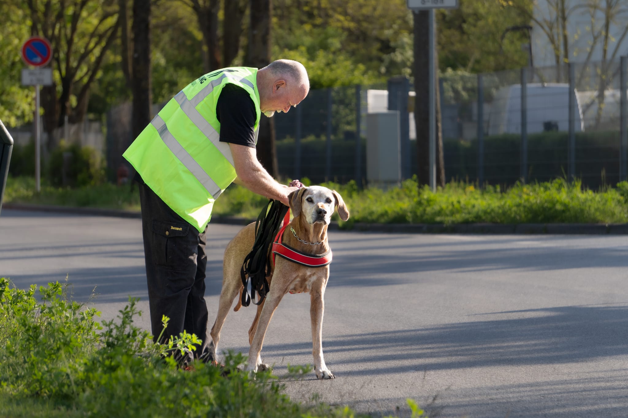 Mantrailing - Personensuchhunde